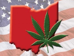 Ohio_marijuana_leaf_20130517213951_640_480.thumbnail