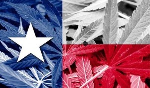 Texas-Marijuana-475x280.thumbnail