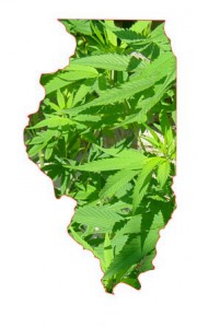 illinois-governor-signs-medical-marijuana-bill