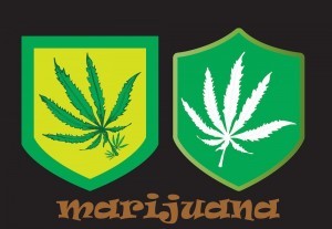 151116-Medical-Marijuana.thumbnail