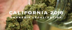 california-cannabis-legalization-2016[1].thumbnail