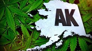 Alaska weed
