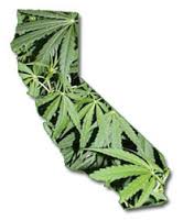 California weed_0