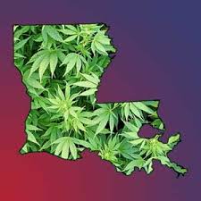 Louisiana weed