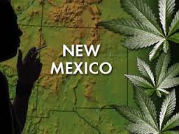 New Mexico weed
