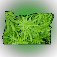 Oregon marijuana