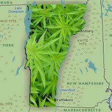 Vermont weed