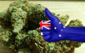 australia-medical-marijuana-1000x620.thumbnail