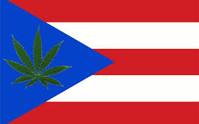marijuana Puerto Rico