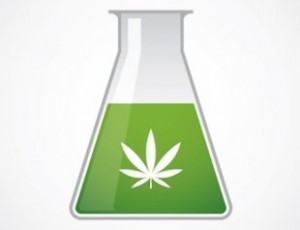 marijuana_science