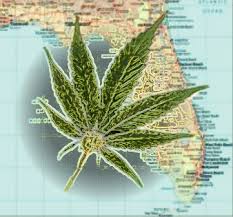 Florida marijuana_0