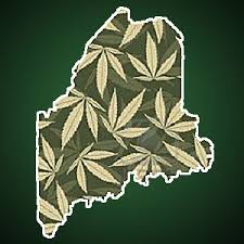 Maine marijuana