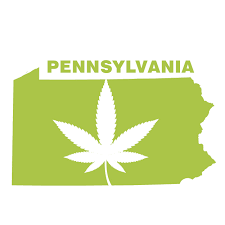 Pennsylvania weed