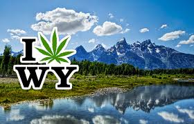Wyoming marijuana