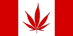 canadian-marijuana-flag.thumbnail