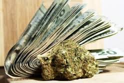 weed and cash