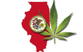 Illinois weed
