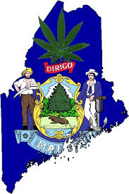 Maine pot flag_1