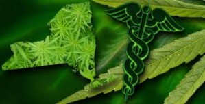 NY medical marijuana_0