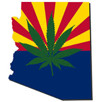 Arizona weed_1