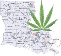 Louisiana marijuana_1