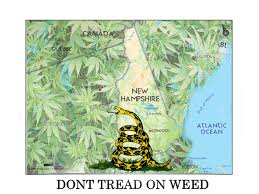 New Hampshire weed 2