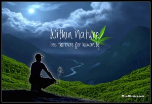 nature-marijuana-cures-weed-memes