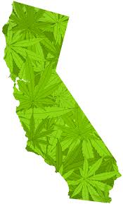 California weed 2
