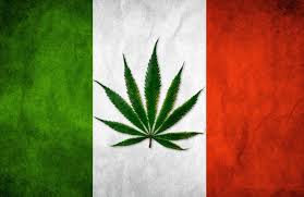 Italy weed flag
